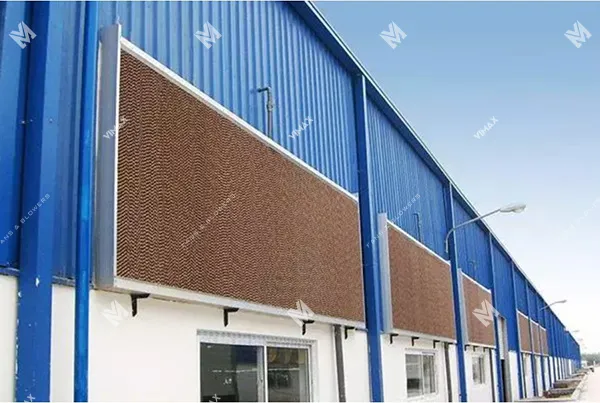 tam lam mat cooling pad 3 16 11zon