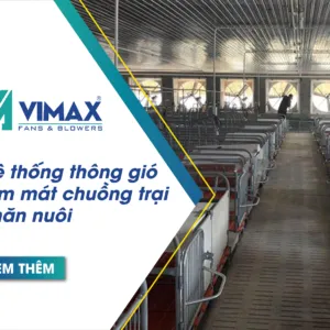 he thong thong gio lam mat chuong trai chan nuoi 300x300 1 2 11zon