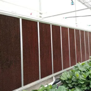 he thong cooling pad