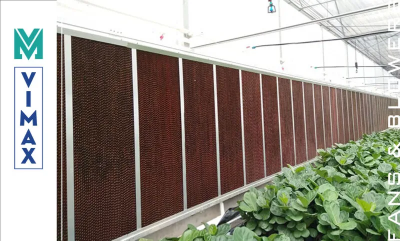 he thong cooling pad