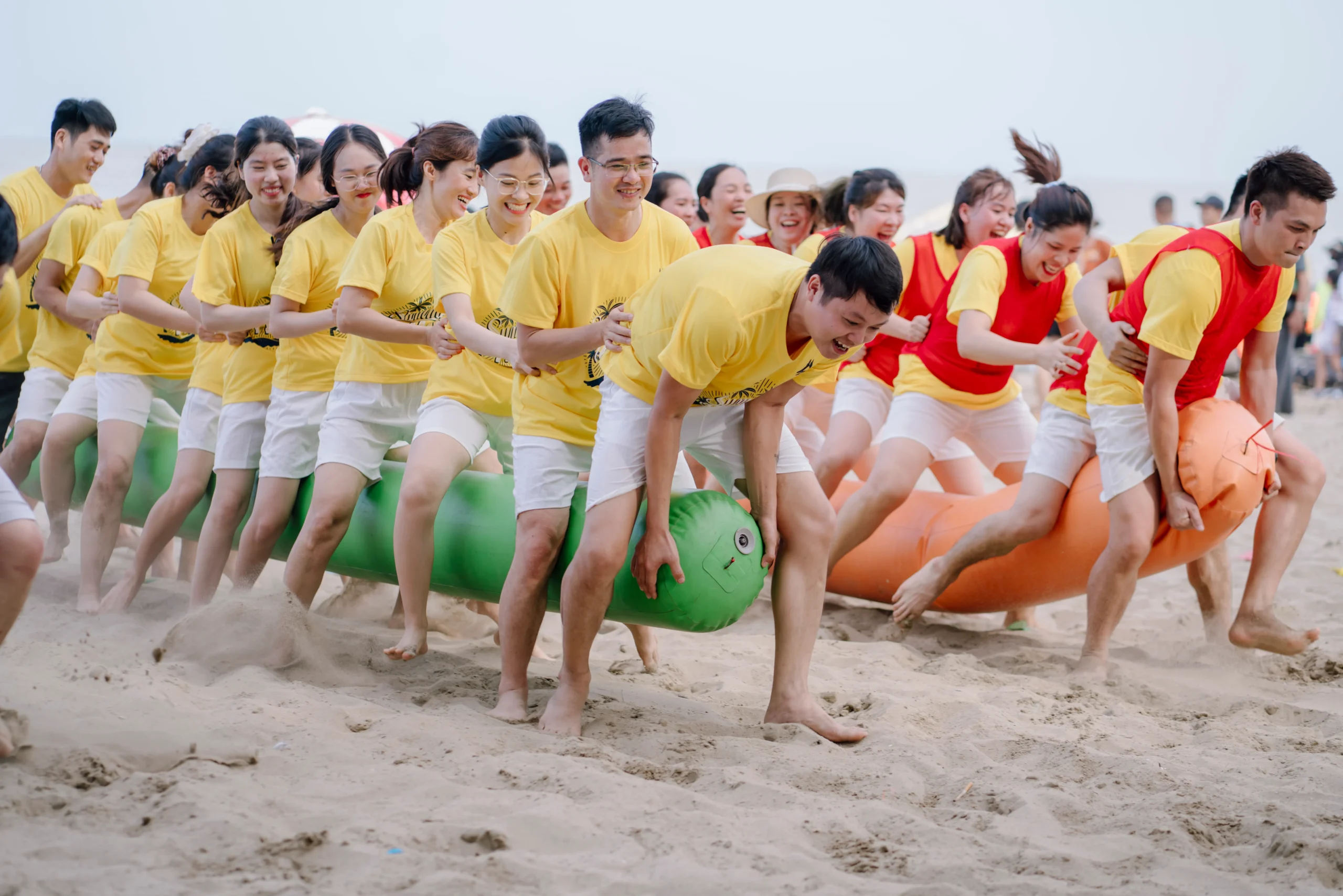 QSS09854 11zon scaled